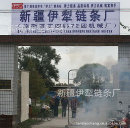 新疆伊犁鏈條廠 立足邊疆，服務農業的鏈條專家